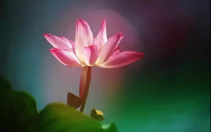 印光法师:恶念原属妄想,若不觉照,便成实恶 印光法师:恶念原属妄想,若不觉照,便成实恶