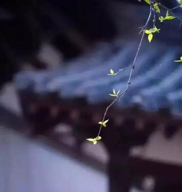 用智慧面对世间的种种荣辱毁誉 用智慧面对世间的种种荣辱毁誉