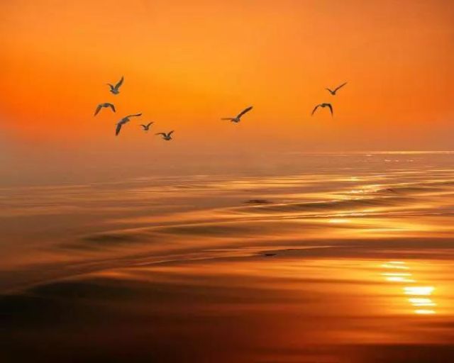 用智慧面对世间的种种荣辱毁誉 用智慧面对世间的种种荣辱毁誉