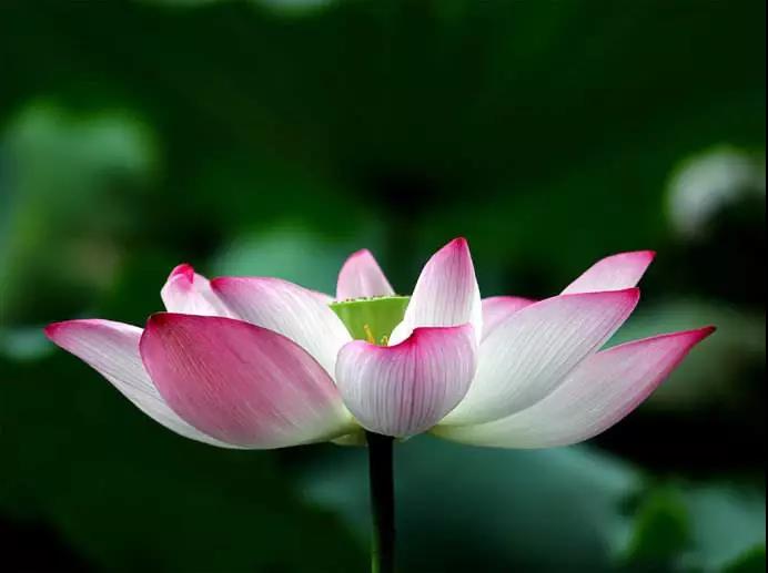 佛教,不怕不信,就怕迷信! 佛教,不怕不信,就怕迷信!