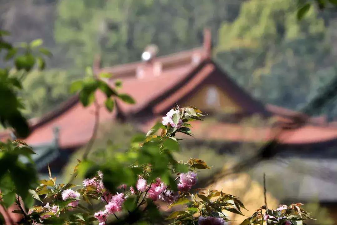 û������֧�ŵ����ޣ�Σ��!