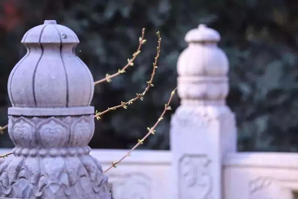 û������֧�ŵ����ޣ�Σ��!