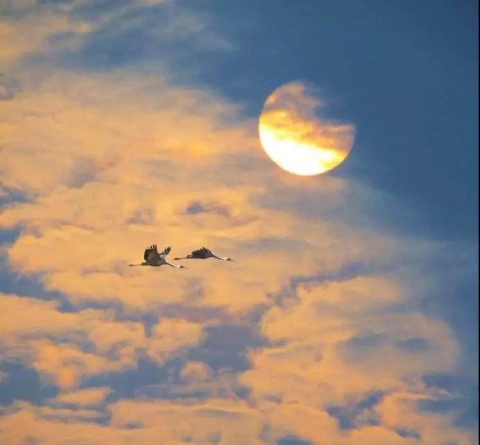 印光法师:悔之一字,要从心起;心不真悔,说之无益 印光法师:悔之一字,要从心起;心不真悔,说之无益