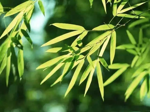 ������������Դ��������