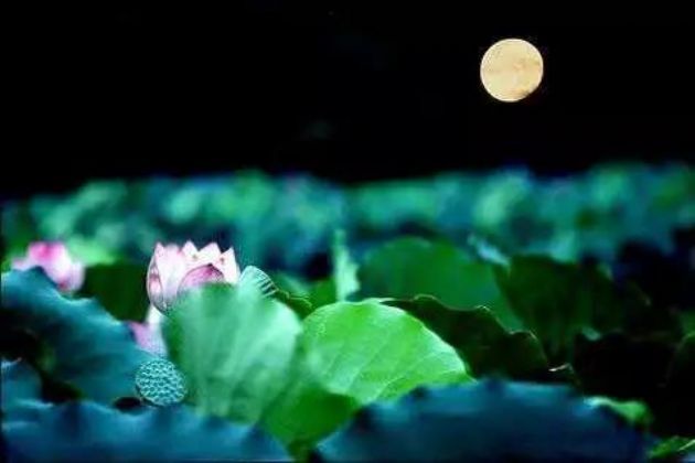 ����ӳ���Զ�������ˣ�