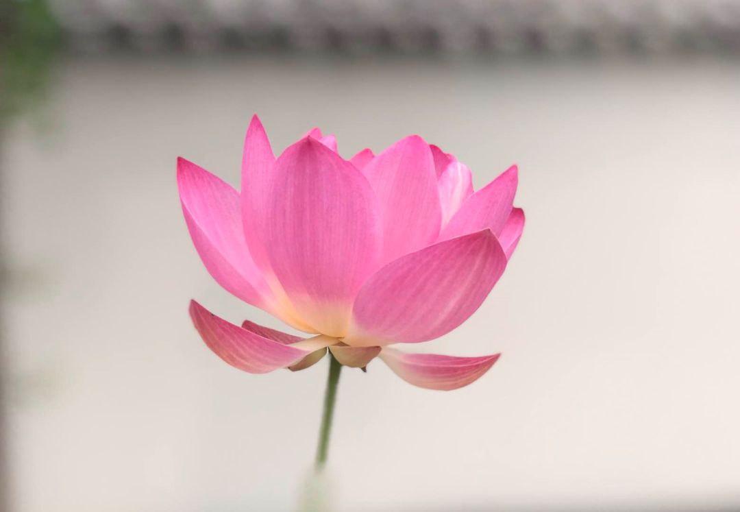 珍贵启示!佛陀教子:好爸爸是怎样炼成的? 珍贵启示!佛陀教子:好爸爸是怎样炼成的?