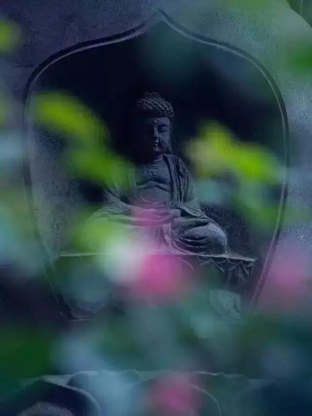 在娑婆世界轮回的过失有哪些? 在娑婆世界轮回的过失有哪些?