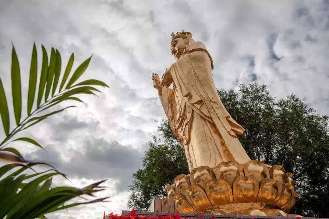 ��߾�������ˣ�����������ʶ���Ƶ�