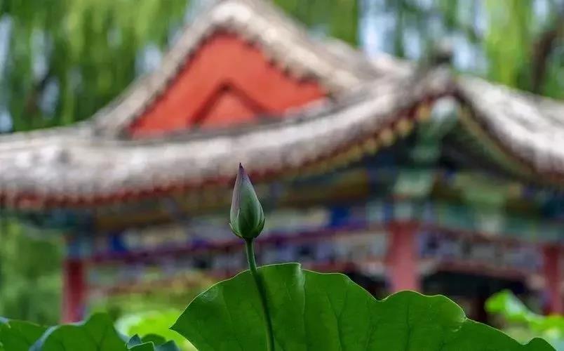 幸好我是个出家人,不然这事肯定过不去 幸好我是个出家人,不然这事肯定过不去