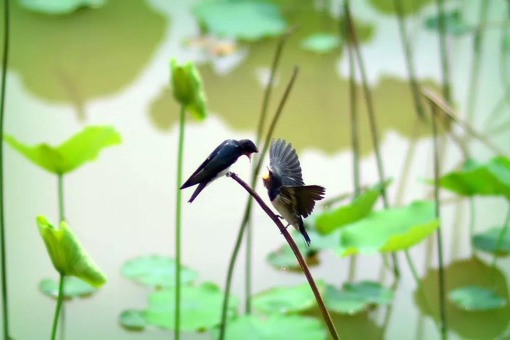 幸好我是个出家人,不然这事肯定过不去 幸好我是个出家人,不然这事肯定过不去