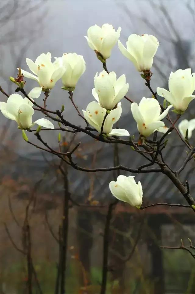 行善积德为什么首先要做好这件事? 行善积德为什么首先要做好这件事?