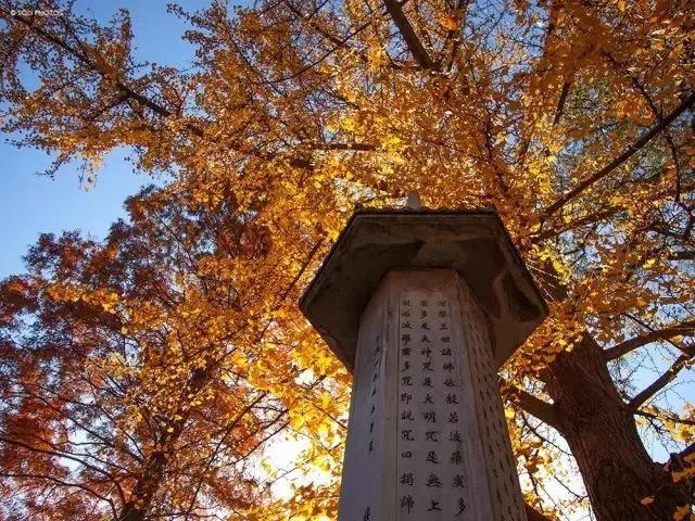 行善积德为什么首先要做好这件事? 行善积德为什么首先要做好这件事?