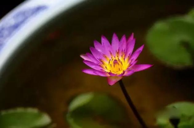 禅是靠每个人自己去修行,去体验的 禅是靠每个人自己去修行,去体验的