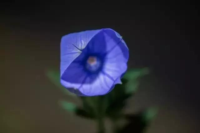 �����ٲ�������ϲ�ϰ�̡���������˵���Ǵ����