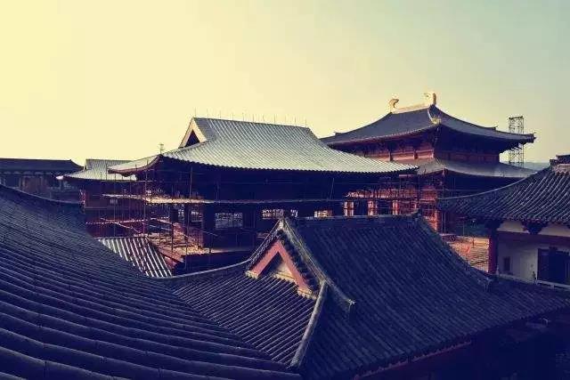 整理好自己的念头很重要,念头虽多不乱就好! 整理好自己的念头很重要,念头虽多不乱就好!