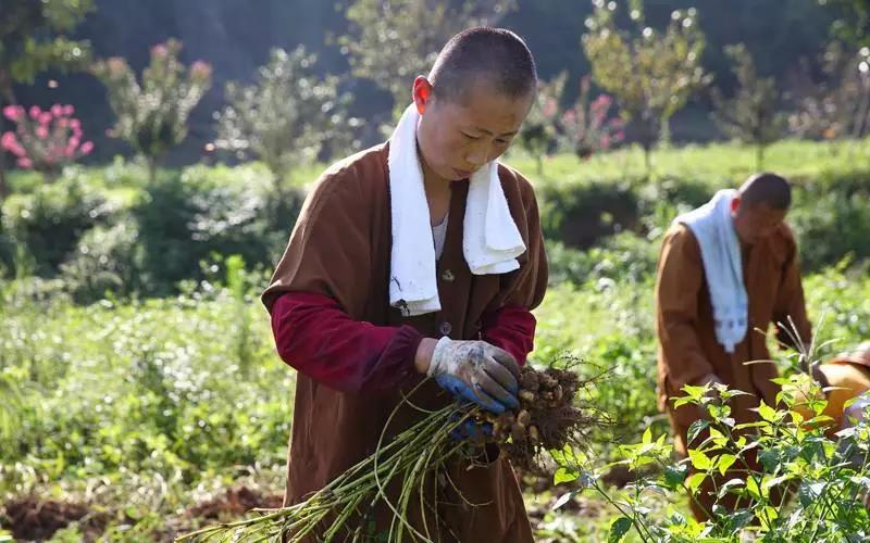 放下分别心,无分别心是道 放下分别心,无分别心是道