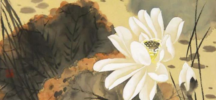 放下分别心,无分别心是道 放下分别心,无分别心是道