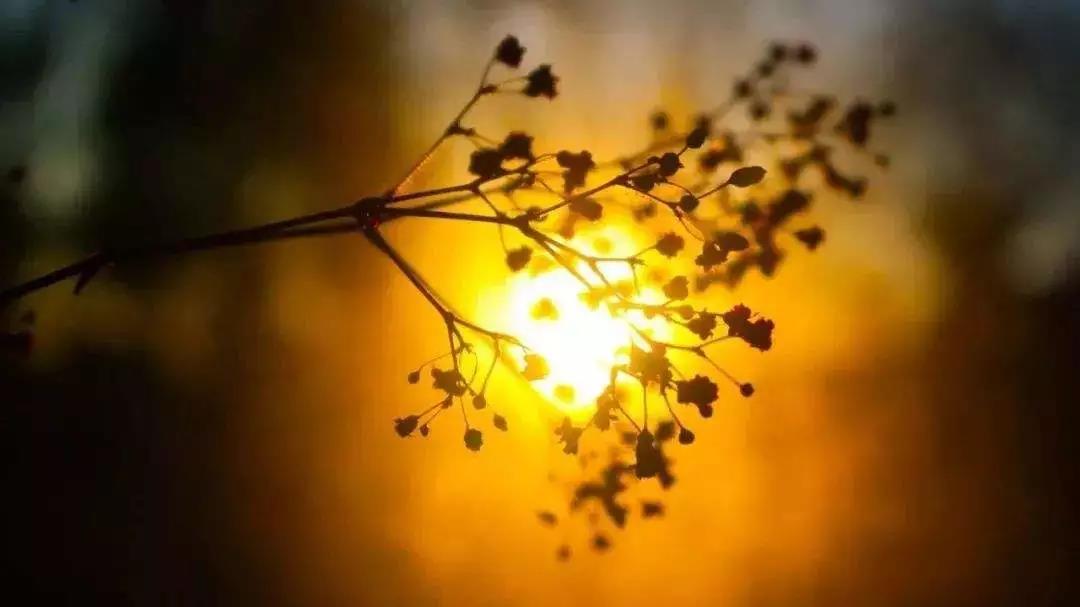 充满烦恼的人生,就是我们解脱的最好机缘 充满烦恼的人生,就是我们解脱的最好机缘