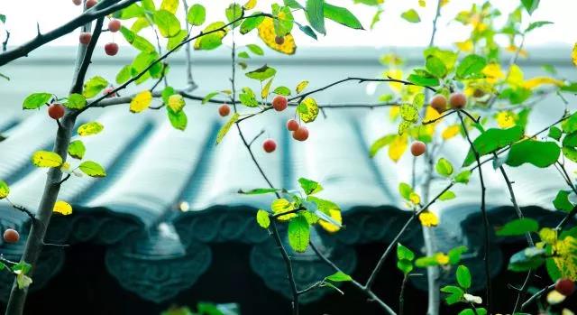 �������£�Ϊʲôȴ�ò������º������أ�