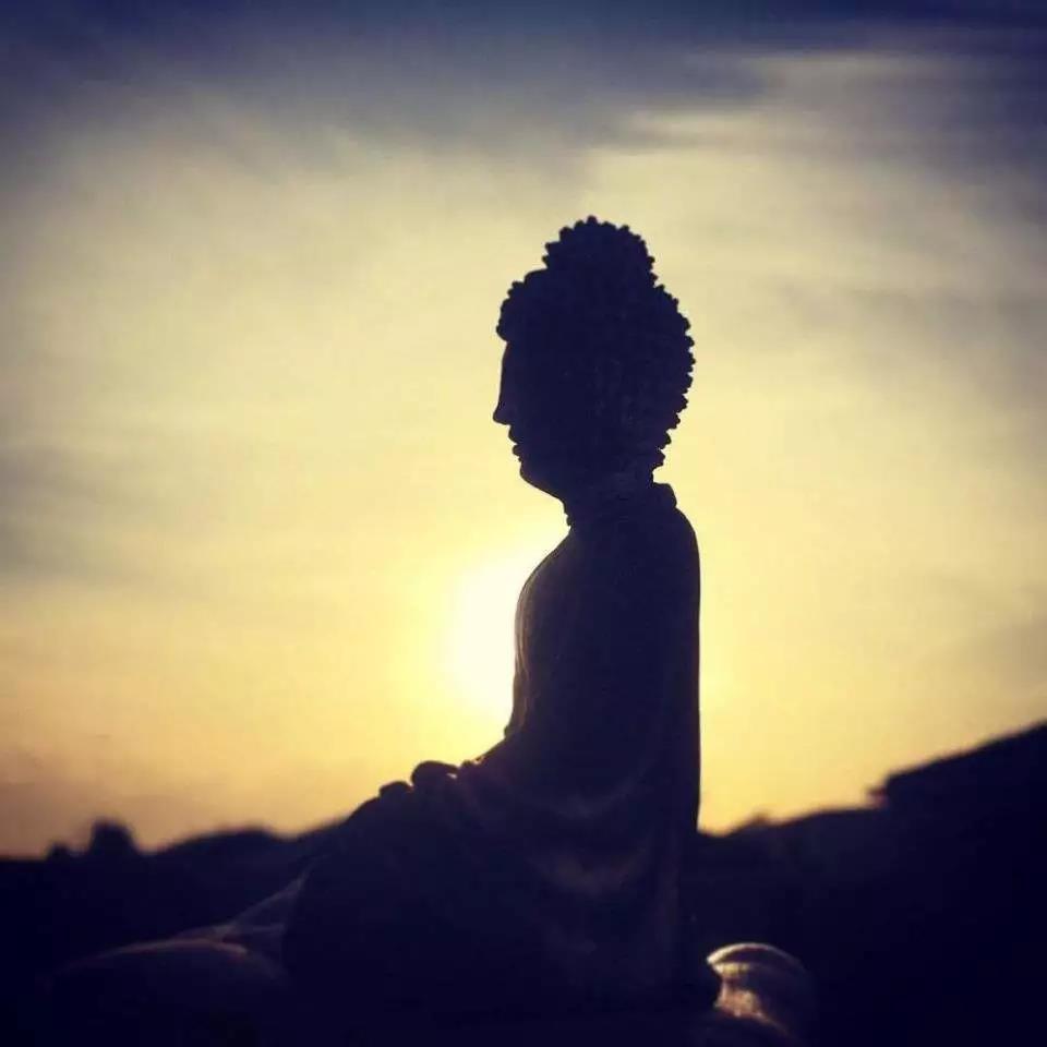 ѧϰ����û�нݾ��أ�