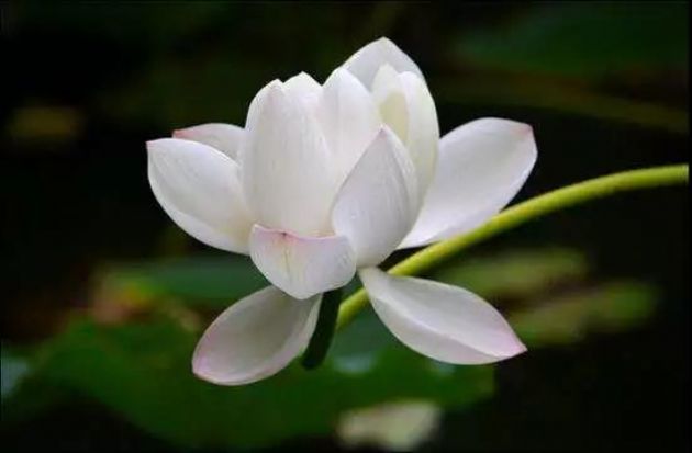 �����ܼ���·���̣���������Ӧ��