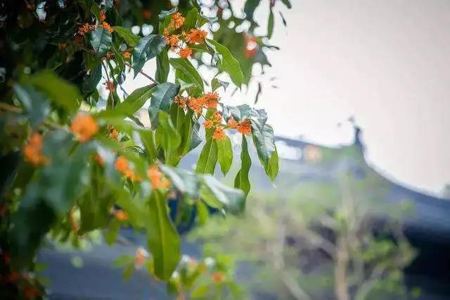 深度好文:出去走才知道有无定力 深度好文:出去走才知道有无定力