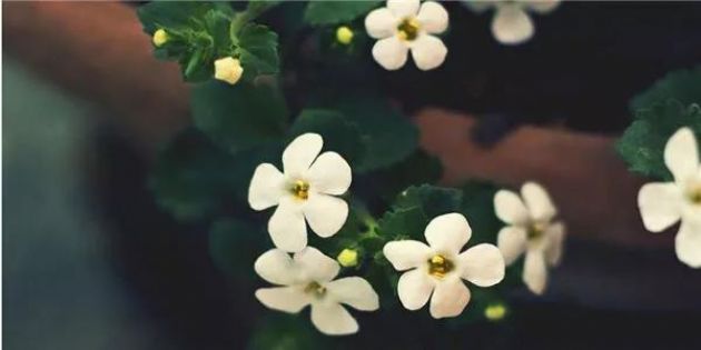 值得收藏!这么多修行方法,你选哪一个? 值得收藏!这么多修行方法,你选哪一个?