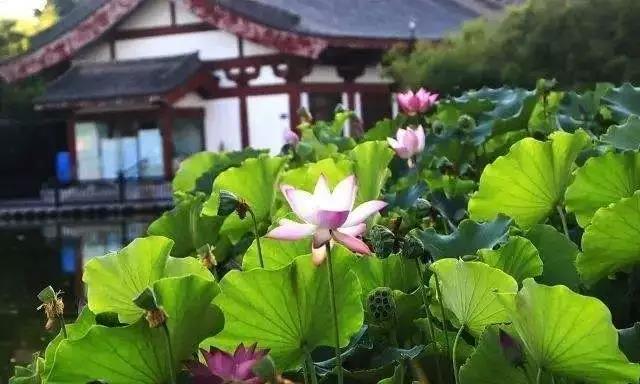 ӡ�ⷨʦ�����֮�ˣ����漴������֮��