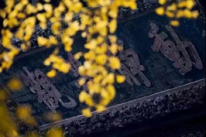 ӡ�ⷨʦ����ν���������������������������Ҳ