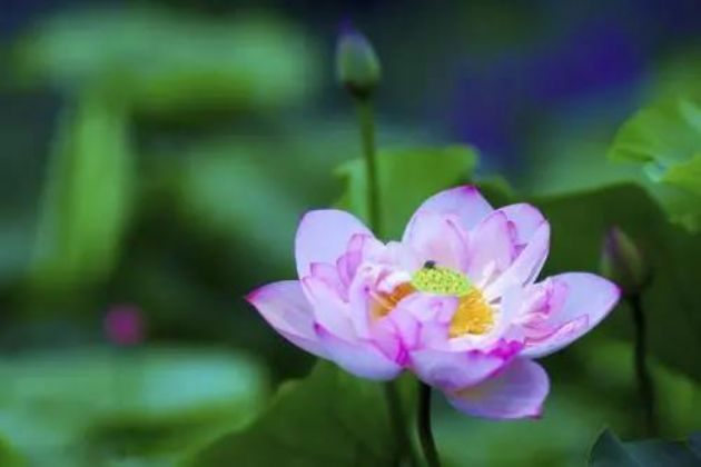 һ��Ҫ���ƺ쳾����ѧ����