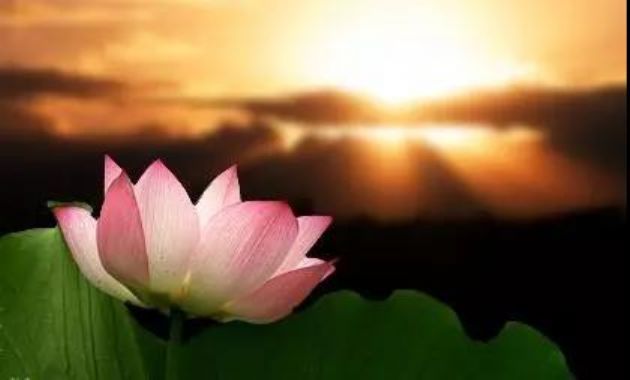 ����·�ϣ��㣬��������