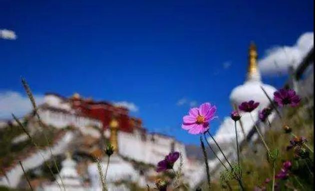 ����·�ϣ��㣬��������