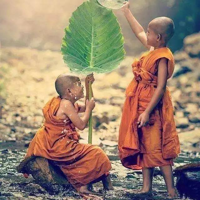 �������Ŀ����Լ��벻��