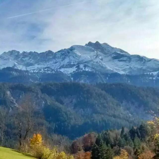 ���²�˳����ԩ��ծ���ϰ���