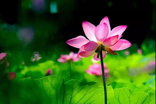 ������β����������޹Ұ���