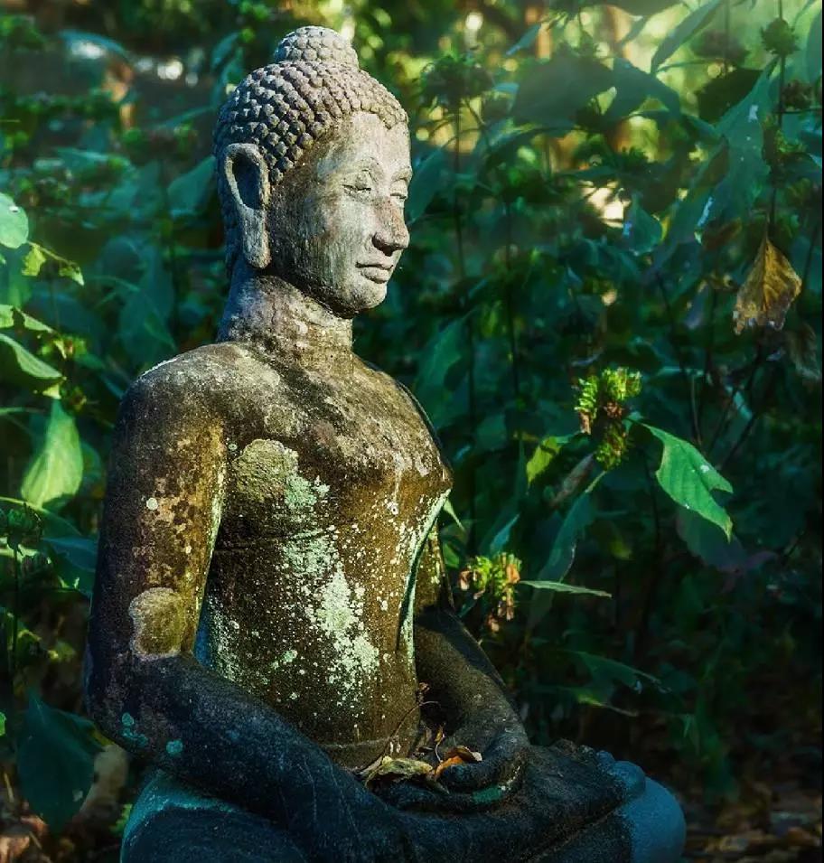 忍辱不是忍受侮辱,一切不如意就是辱 忍辱不是忍受侮辱,一切不如意就是辱