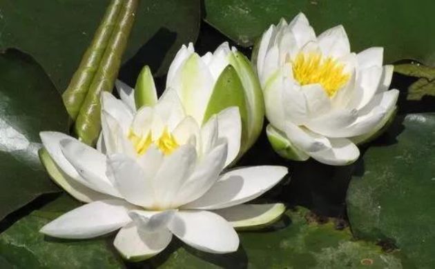 ��ס��������λ��۾���������