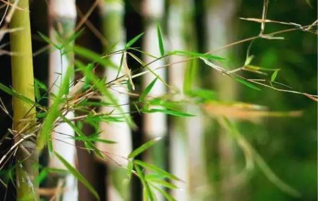 ���Ǳ��˲��ã����Լ�������ҵ��������