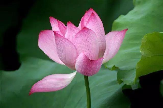 ��ͯ����ʲô����Ƚ϶Ի�?