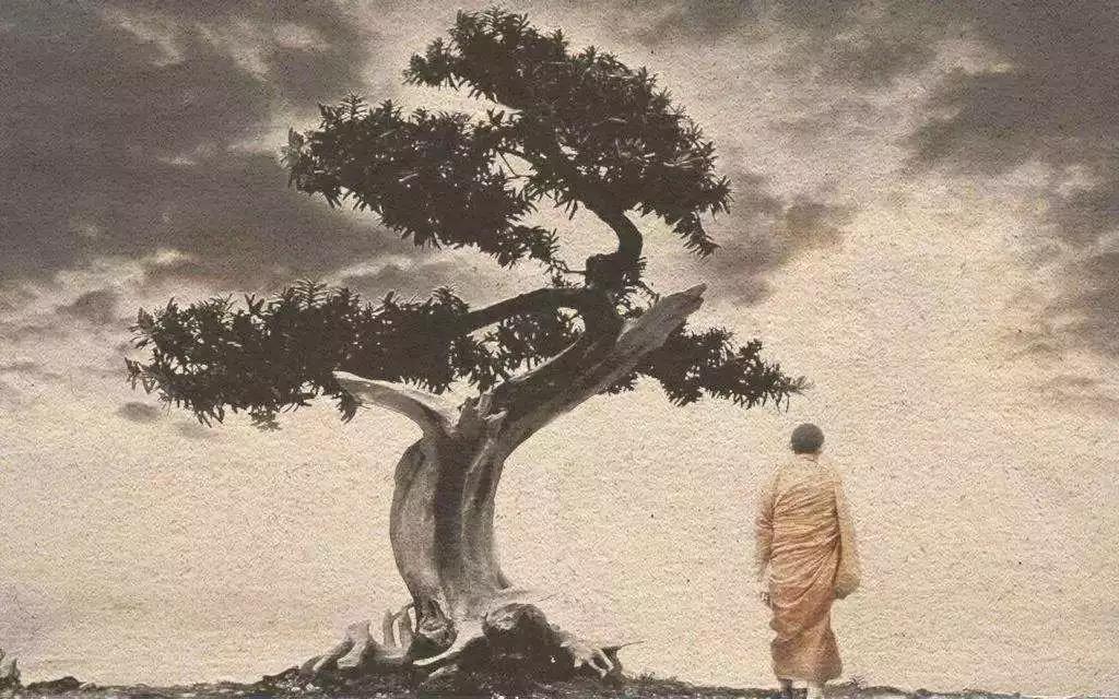 明海法师自述出家心路:对世间的五欲_我不再留恋…… 明海法师自述出家心路:对世间的五欲_我不再留恋……