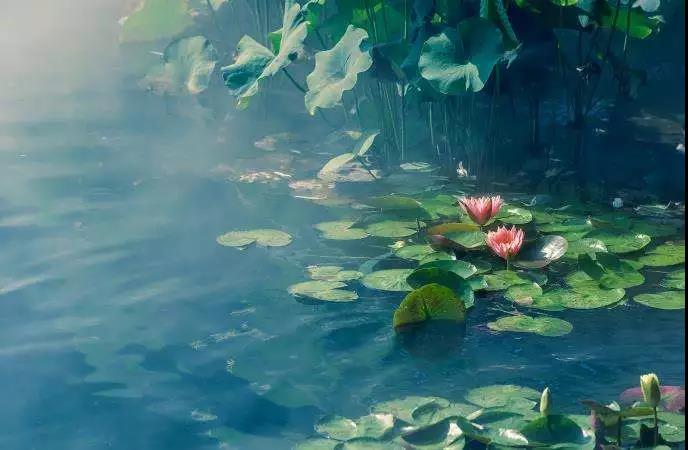 ��ҵ�ϣ��㲻�̼��������ܴ�ҵ����