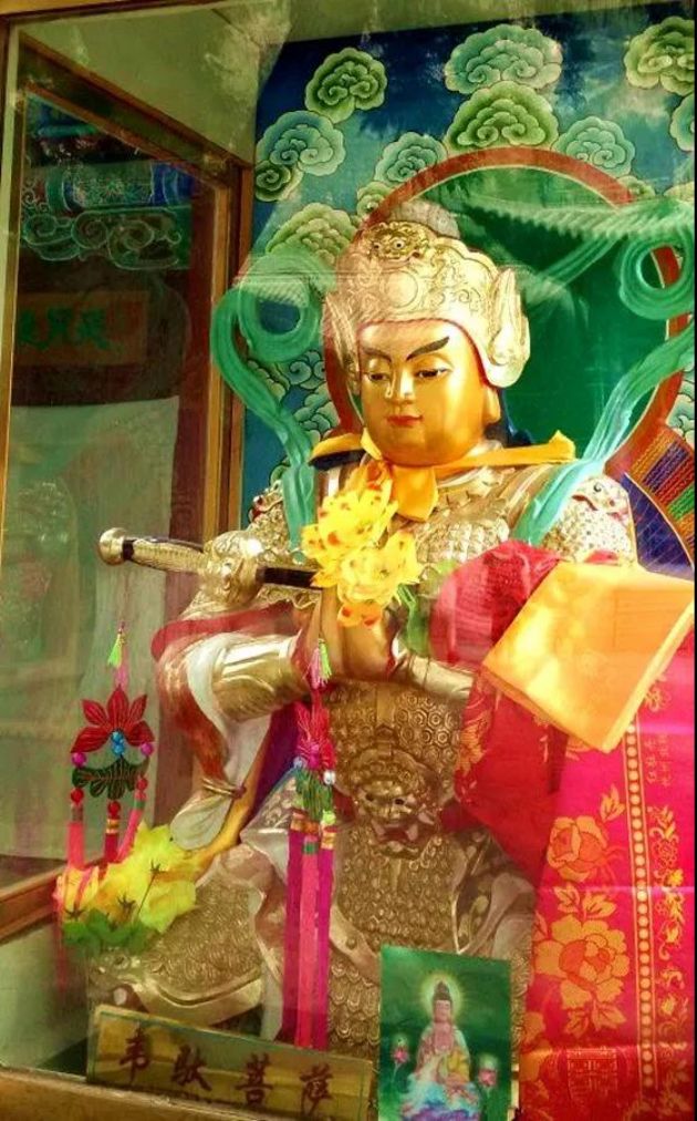 ���չ�ӭΤ������ʥ�����������ޣ���ػ�����