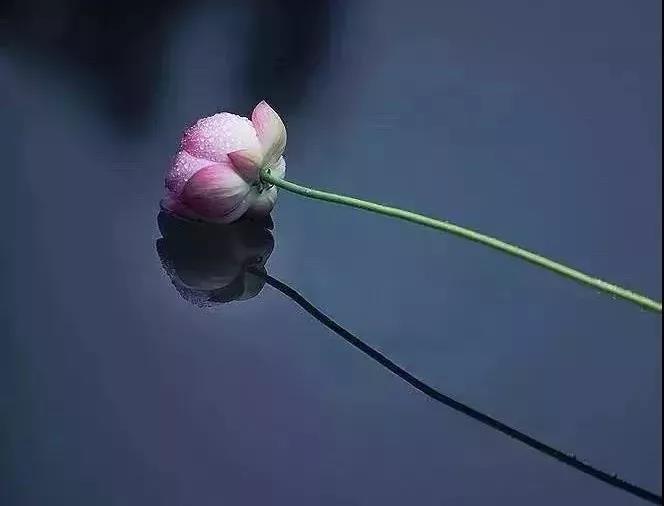 每一个学佛之人,要避免十大顽症! 每一个学佛之人,要避免十大顽症!