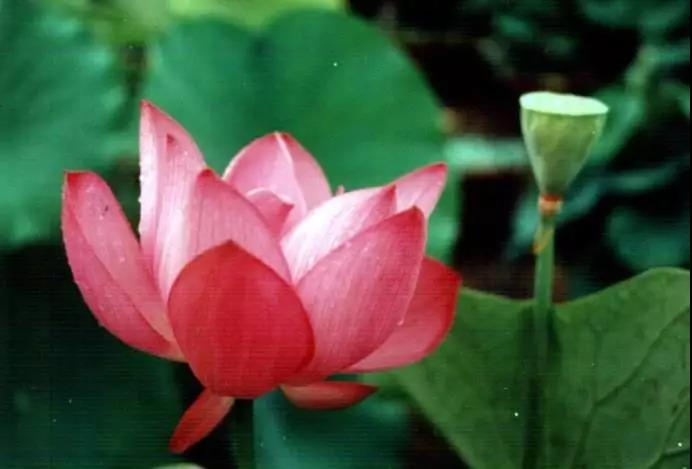 ������Ե��ɢҲ����Ե��һ�кû�������Ե