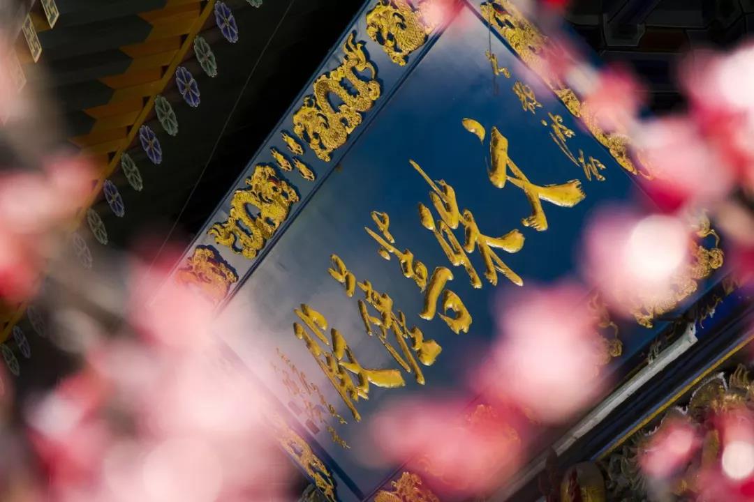 ��̨ɽ����������ӭһǧ���Ͱ˰١�