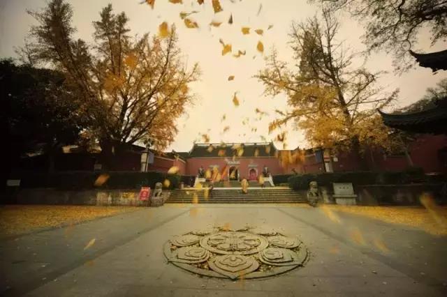 �����ǰ���߹ܣ�����ǧ�����ۣ�ѡ������нţ�81������2000����......