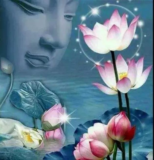 �˸�������ɣ�������������