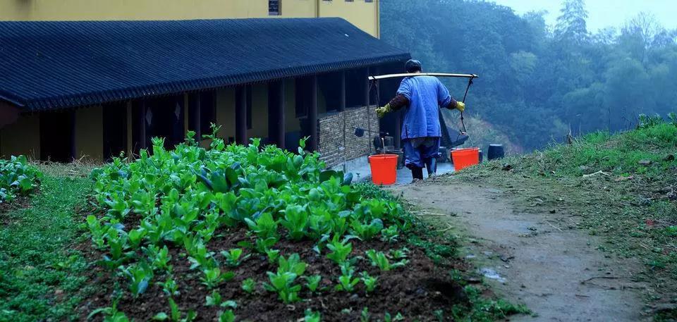 不沉浸过去,不焦灼现在,不妄想未来 不沉浸过去,不焦灼现在,不妄想未来
