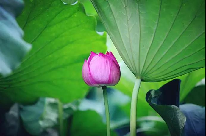 有人问我:好端端的,年轻人为什么学佛啊? 有人问我:好端端的,年轻人为什么学佛啊?