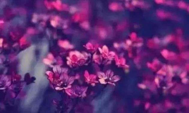 ������ͷ��ֻ�¾��ճ�